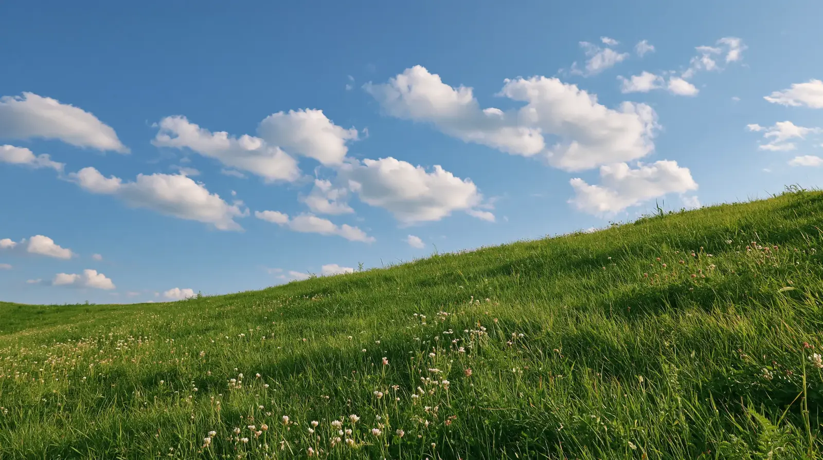 Auto-zoom screen recorder for Windows and Mac | OnScreen